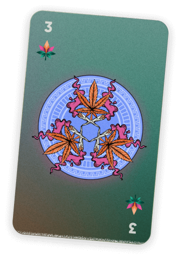 card-3
